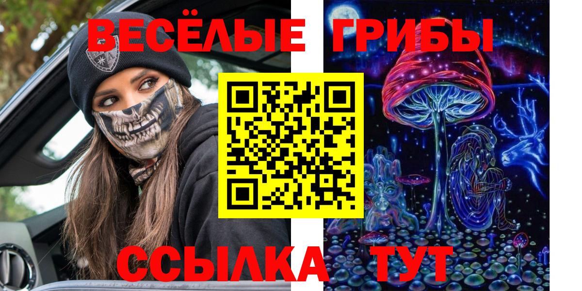 Дятьково  Галлюциногенные грибы прущие грибы  Галлюциногенные грибы Psilocybine cubensis  цены наркотик  Вход с VPN 