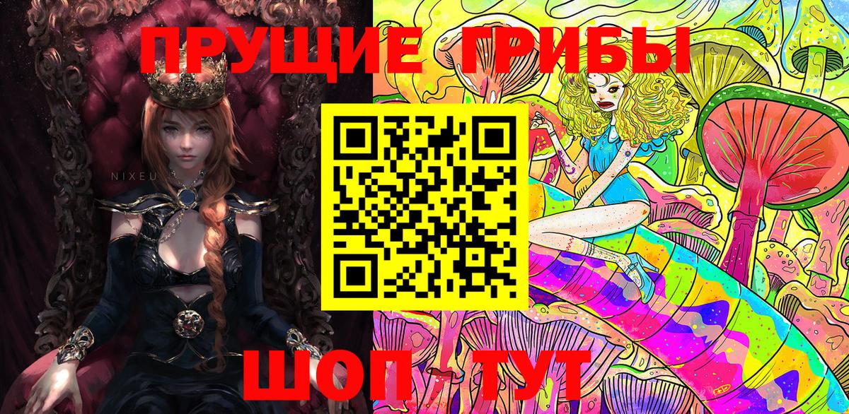 Галлюциногенные грибы Psilocybine cubensis Дятьково